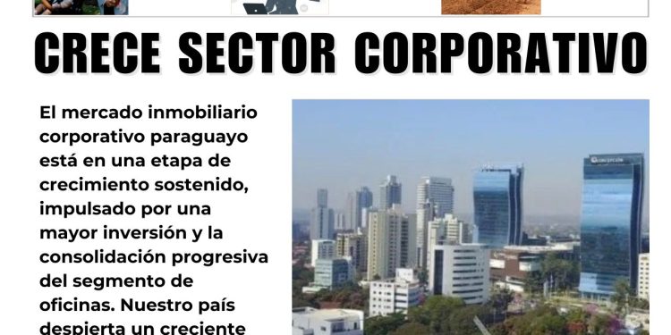 19 Mayo 2026