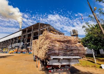 Petropar pone en marcha la zafra 2026 en Troche