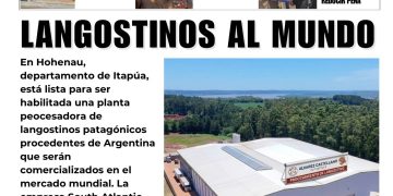 21 Mayo 2026