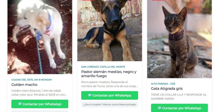 Mascotas perdidas: habilitan nueva herramienta digital para reportes