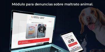 Gobierno habilita herramienta para denunciar maltrato animal