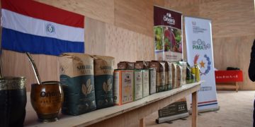 Productores paraguayos exportarán yerba mate ecológica a Europa y abrirán oficina en Polonia
