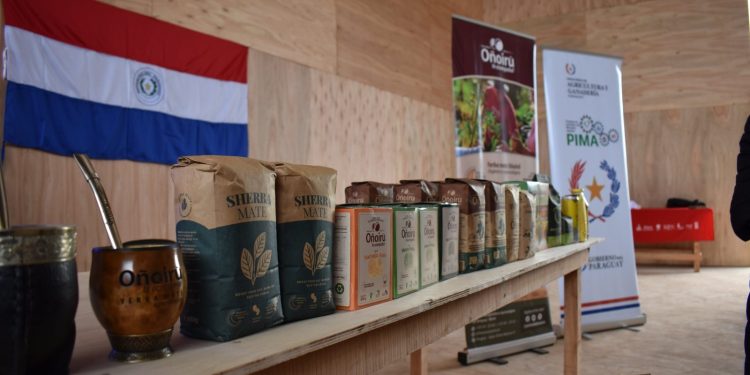 Productores paraguayos exportarán yerba mate ecológica a Europa y abrirán oficina en Polonia