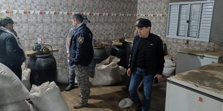 Operativo antidrogas dejó más de 2,8 toneladas de marihuana incautadas