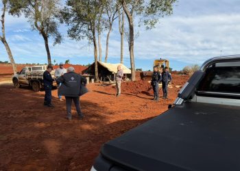 Denuncian destrucción de 40 hectáreas de bosque nativo en CDE