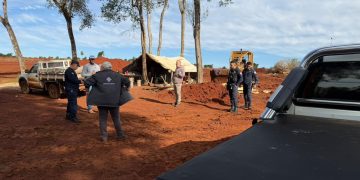 Denuncian destrucción de 40 hectáreas de bosque nativo en CDE