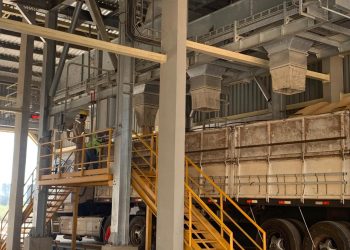 Industrialización de granos alcanzó niveles récord en el primer trimestre