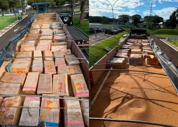 Camión paraguayo cae con más de 2 toneladas de marihuana en Brasil