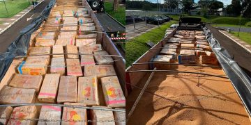 Camión paraguayo cae con más de 2 toneladas de marihuana en Brasil