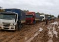 Camiones varados obligan a evacuar centenares de cabezas de ganado