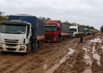 Camiones varados obligan a evacuar centenares de cabezas de ganado