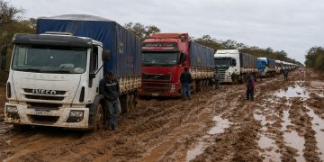 Camiones varados obligan a evacuar centenares de cabezas de ganado