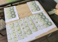 Capturan a sospechoso de estafa y supuesto tráfico de influencias