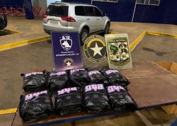 Detienen a dos paraguayos con carga de marihuana en Puente de la Amistad