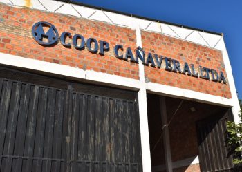Pequeños productores de caña de azúcar de Borja acceden a exigente certificación de la Unión Europea