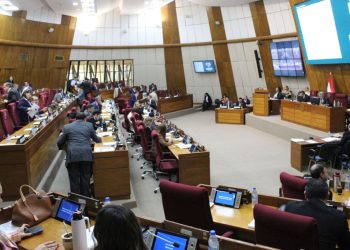 Diputados otorgan media sanción al proyecto que eleva las penas por denuncias falsas