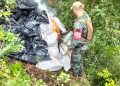 SENAD destruyó 83 toneladas marihuana causando una pérdida de USD 12 millones