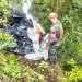 SENAD destruyó 83 toneladas marihuana causando una pérdida de USD 12 millones