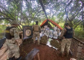 SENAD eliminó centro de producción y acopio de marihuana en Canindeyú