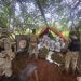 SENAD eliminó centro de producción y acopio de marihuana en Canindeyú