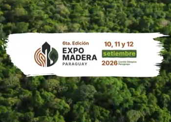 Lanzan la Expo Madera 2026 con miras a consolidar a Paraguay como polo forestal