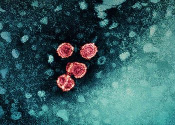 Fármaco en desarrollo acerca posible «cura funcional» para la hepatitis B