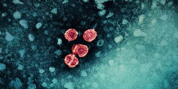 Fármaco en desarrollo acerca posible «cura funcional» para la hepatitis B
