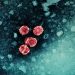 Fármaco en desarrollo acerca posible «cura funcional» para la hepatitis B