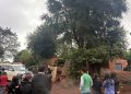 Hallan sin vida a un hombre con antecedentes en el patio de una vivienda en Presidente Franco