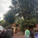 Hallan sin vida a un hombre con antecedentes en el patio de una vivienda en Presidente Franco