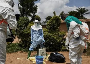 La OMS declara emergencia internacional ante un brote de ébola en África