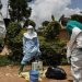 La OMS declara emergencia internacional ante un brote de ébola en África