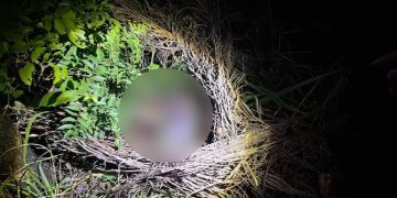 Hallan cuerpo de una mujer en Nueva Italia