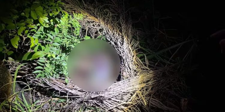 Hallan cuerpo de una mujer en Nueva Italia
