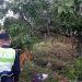 Conmoción en Villarrica por el hallazgo de un feto en una canaleta de desagüe