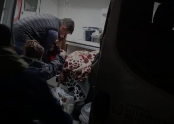 Investigan intoxicación de dos niños hallados sedados