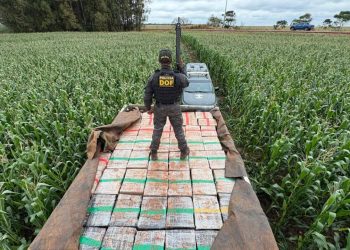 Incautan más de 6 toneladas de marihuana paraguaya en Brasil