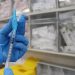 Moderna trabaja en vacunas contra hantavirus antes del brote en cruceros