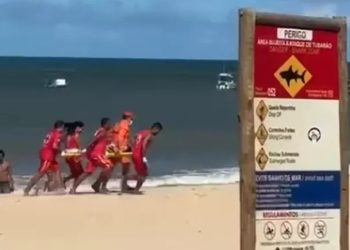 Mujer y niño, víctimas de tiburones: fueron atacados y sufrieron amputaciones