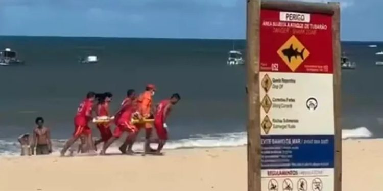 Mujer y niño, víctimas de tiburones: fueron atacados y sufrieron amputaciones