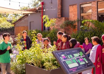 MuCi ofrece shows inmersivos y actividades familiares para cerrar junio