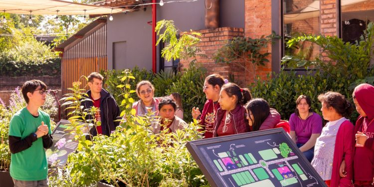 MuCi ofrece shows inmersivos y actividades familiares para cerrar junio