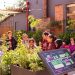 MuCi ofrece shows inmersivos y actividades familiares para cerrar junio