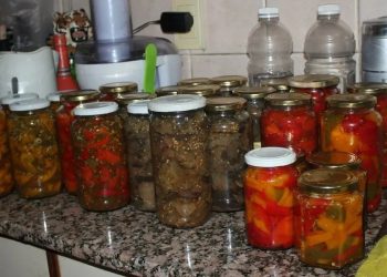 Neurólogo atribuye casos de botulismo a fallas en controles de seguridad alimentaria