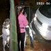 Paseros fueron asaltados y despojados de un cargamento de celulares en Ciudad del Este