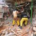 Bomberos paraguayos están listos para viajar a Venezuela, pero despliegue depende de transporte que debe gestionar el Gobierno