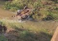 Vehículo se precipitó al arroyo y ocupante logró salir a tiempo