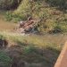 Vehículo se precipitó al arroyo y ocupante logró salir a tiempo