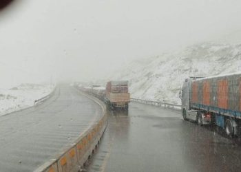 Camioneros paraguayos permanecen varados en Bolivia desde hace 22 días por bloqueos en las rutas