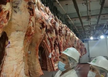 Paraguay tiene carne para exportar el doble, pero le falta institucionalidad